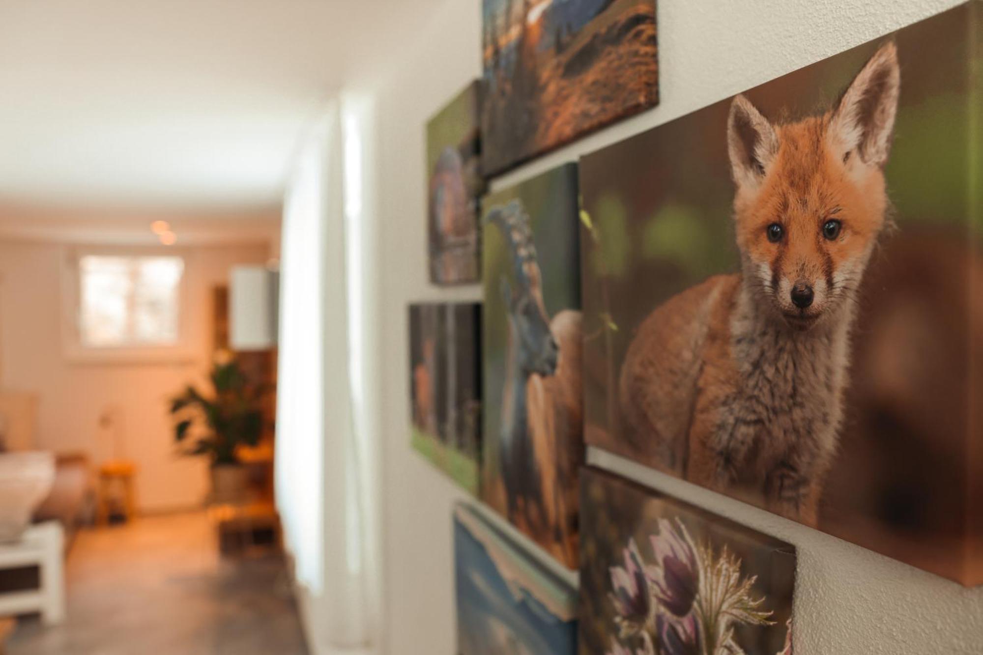 Haus Meierhuesli Malans Exteriör bild